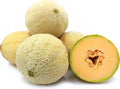 Cantaloupe Seeds - 25+ Athena Cucumis melo Vining Fruit Seeds for Gardening, Juicy Summer Melons, Non-GMO, Open-Pollinated