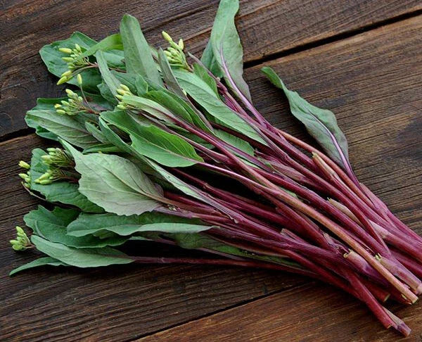 Purple Choy Sum Seeds - 200+ Heirloom Non-GMO Brassica rapa var. parachinensis for Home Garden and Cooking