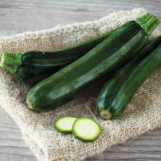 Black Beauty Zucchini Seeds – Summer Squash Cucurbita pepo, Pack of 20, Easy to Grow, Non-GMO, Trackable Shipping