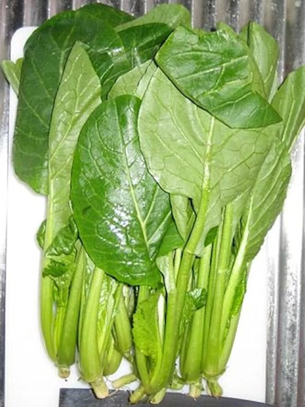 Komatsuna Seeds 4000 Pack – Japanese Green Spinach Mustard, Non-GMO, High Germination Brassica rapa var. perviridis