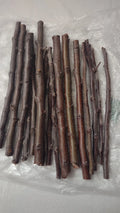 Golden Delicious Apple Tree Scions - 6 Organic Grafting Cuttings - Malus domestica