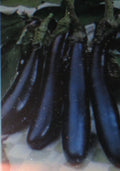 Eggplant Seeds - Long Purple Heirloom - 100 Seeds - Solanum melongena Vegetable for Home Garden & Container Planting