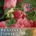 Vintage Grace Begonia Seeds - Non-GMO Flower Seeds for Garden, 45 or 125 Seeds, Begonia x tuberhybrida, Indoor & Outdoor Planting