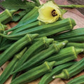 Emerald Okra Seeds – Heirloom Non-GMO Abelmoschus esculentus – 25+ Vegetable Seeds for Garden, Cooking & Pollinator Attracting
