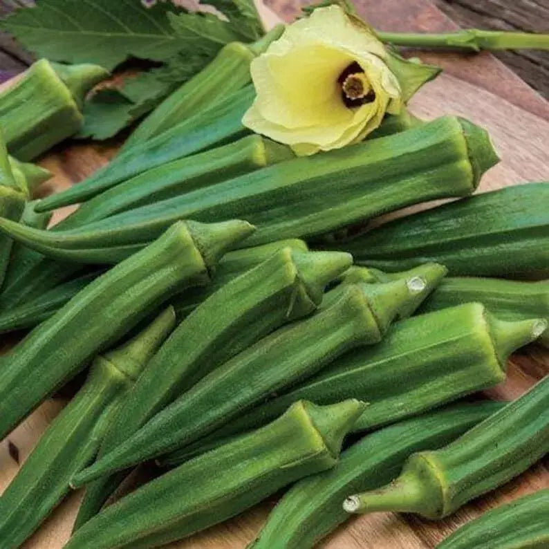 Emerald Okra Seeds – Heirloom Non-GMO Abelmoschus esculentus – 25+ Vegetable Seeds for Garden, Cooking & Pollinator Attracting