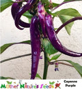 Cayenne Purple Hot Pepper Seeds - Non-GMO Capsicum Annuum for Spicy Salsas & Hot Sauces - 60 Seeds