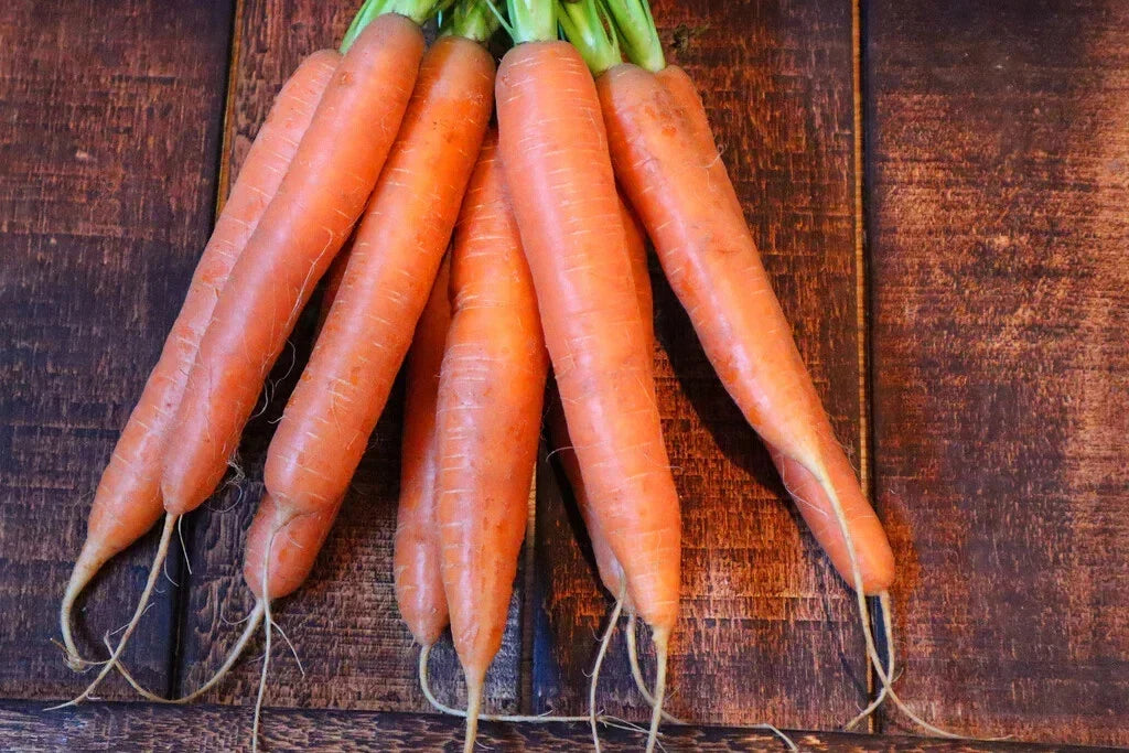 Nantes Carrot Seeds – 1000+ Heirloom Non-GMO Daucus carota for Garden Planting, Full Sun, Easy to Grow