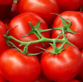 Moneymaker Tomato Seeds 50 Pack Heirloom Non-GMO Vegetable Garden Seeds Solanum lycopersicum