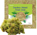 Natural Orchid Moss - 7 Oz Soilless Potting Soil for Orchids, Seedlings & Potted Plants, Organic Sphagnum Moss
