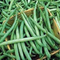 Stringless Green Bean Seeds - Non-GMO, Early Harvest, Phaseolus vulgaris, Bush Type, Pack of 100 Seeds