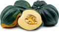 Organic Acorn Winter Squash Seeds - Heirloom Cucurbita pepo, Vegetable, Full Sun, USA Grown, 10 Pack