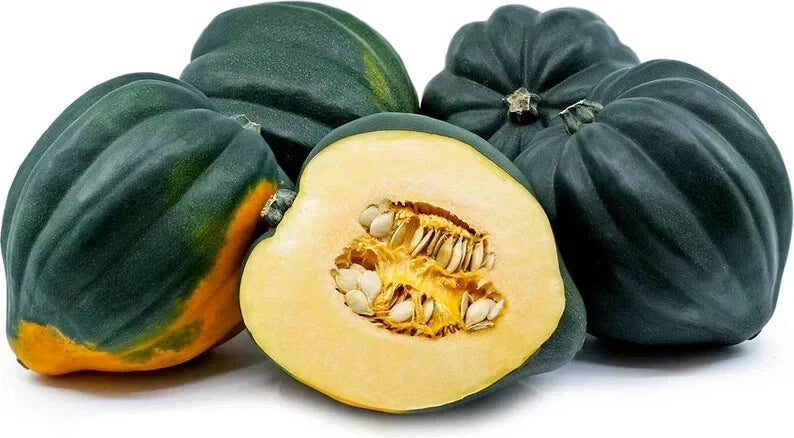 Organic Acorn Winter Squash Seeds - Heirloom Cucurbita pepo, Vegetable, Full Sun, USA Grown, 10 Pack
