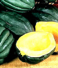Table Queen Acorn Squash Seeds - 10 Non-GMO Cucurbita pepo Heirloom for Home Gardening