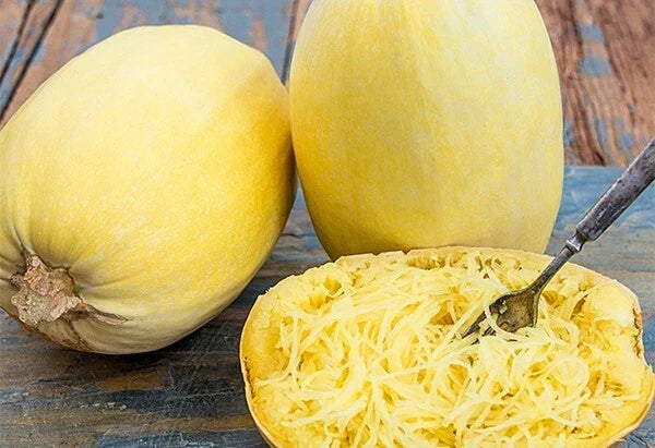 Spaghetti Squash Seeds 5 Pack Non-GMO Cucurbita pepo Vegetable Seeds for Home Garden, Full Sun, Vining, Bountiful Harvest