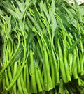 Thai Water Spinach Seeds - Ong Choy Kangkong Edible Garden Vegetable - Ipomoea aquatica - Fast Growing, 50+ Seeds