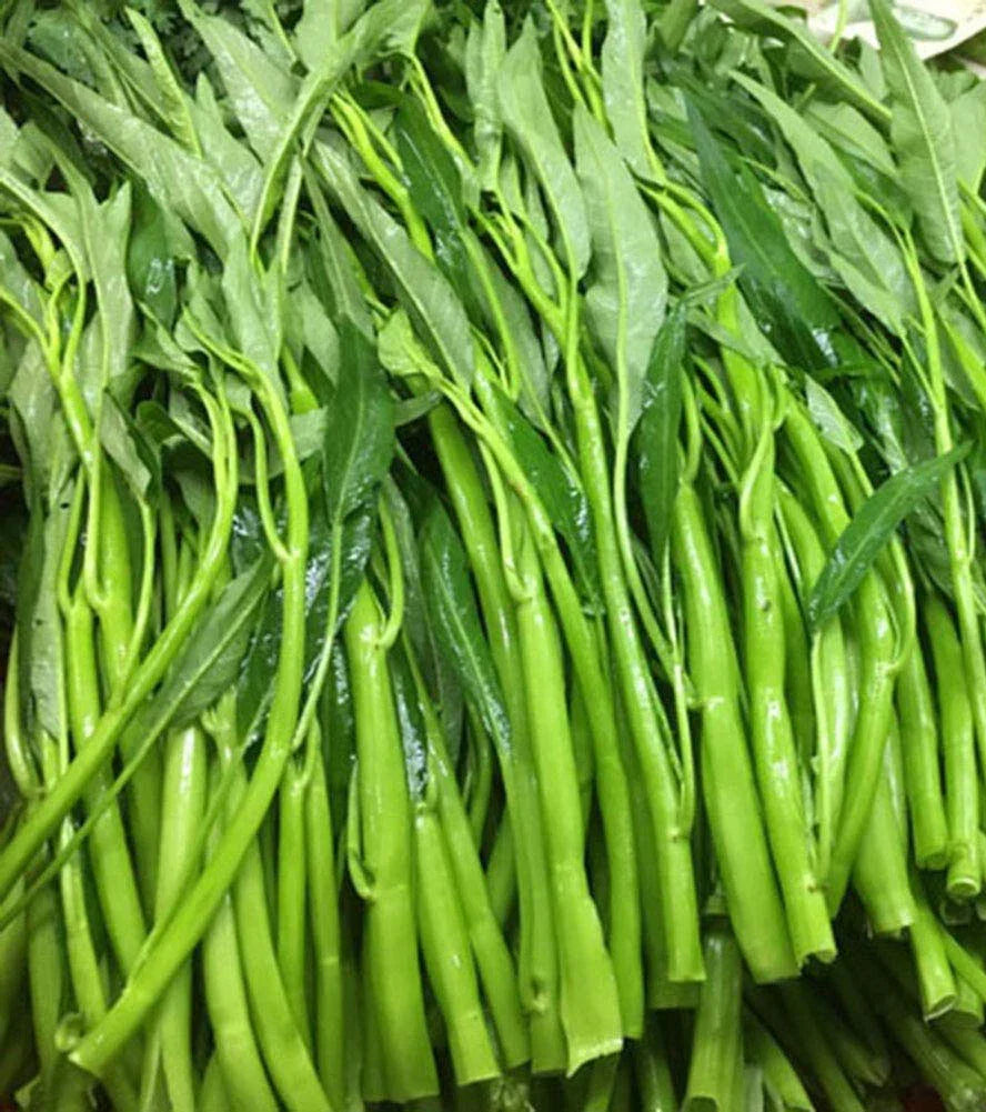 Thai Water Spinach Seeds - Ong Choy Kangkong Edible Garden Vegetable - Ipomoea aquatica - Fast Growing, 50+ Seeds