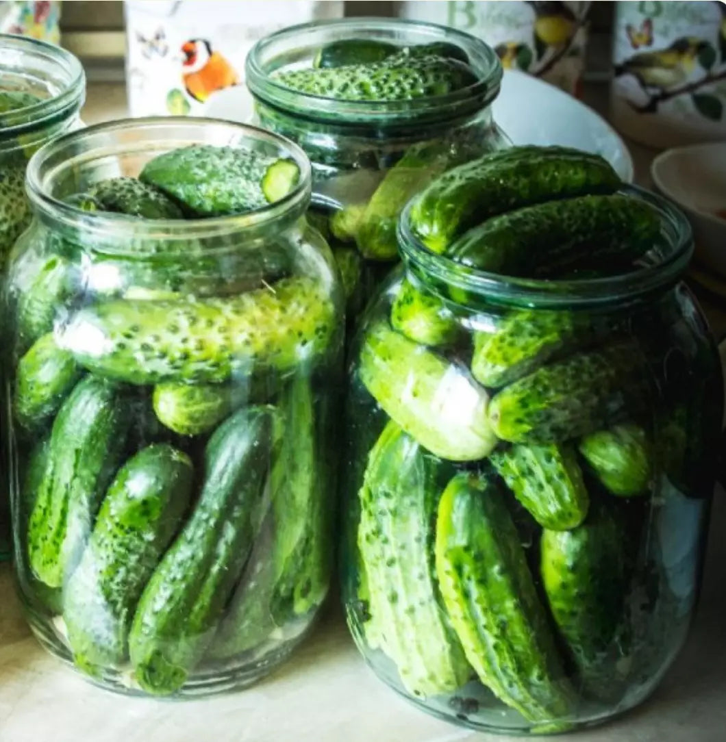 Boston Pickling Cucumber Seeds – Non-GMO, Pack of 500, Cucumis sativus, Ideal for Pickling & Fresh Salads