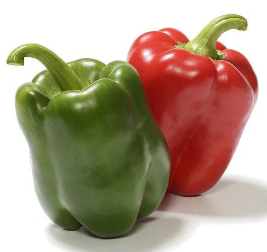 California Wonder Bell Pepper Seeds - Heirloom Non-GMO, 50+ Premium Seeds for Home Garden, Patio, or Container Growing, Capsicum annuum