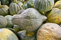 Green Hubbard Squash Seeds - Organic, Non-GMO, Cucurbita maxima, Vining, 25 Seeds Pack