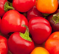 Organic Cherry Sweet Pepper Seeds - Non-GMO Capsicum annuum for Home Garden, Patio & Container Growing, 50 Pack