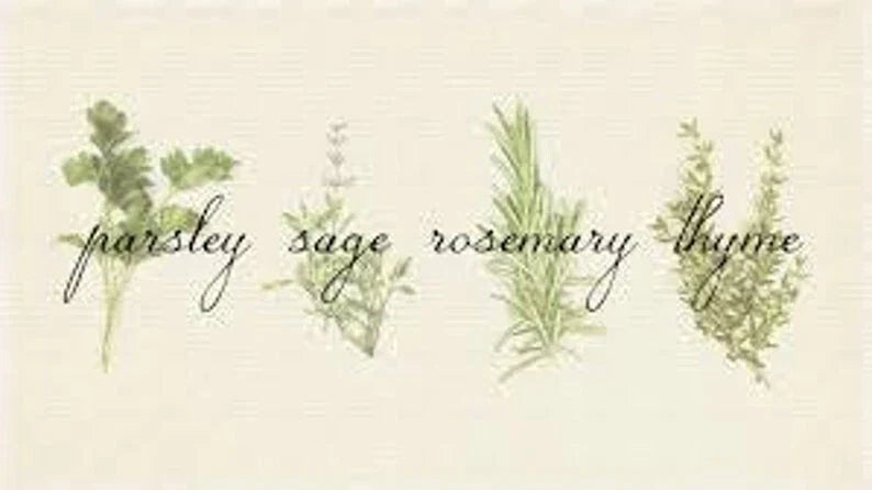 Culinary Herb Seed Set with Parsley, Sage, Rosemary, Thyme | Garden Seeds for Indoor & Outdoor Growing