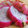 White Dragon Fruit Seeds Pack of 50+ | Hylocereus undatus Cactus for Home Gardening | Organic, Non-GMO, Easy to Grow