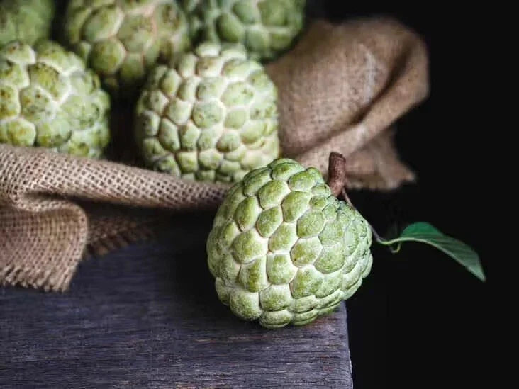 Cherimoya Seeds - Organic Custard Apple Seeds for Sweet Fruit Garden - Annona cherimola - Easy to Grow, Tropical Climate