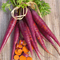 Cosmic Purple Carrot Seeds - Heirloom Daucus carota Vegetable Seeds - Vibrant Purple Color, Sweet Roots, Pack of 100
