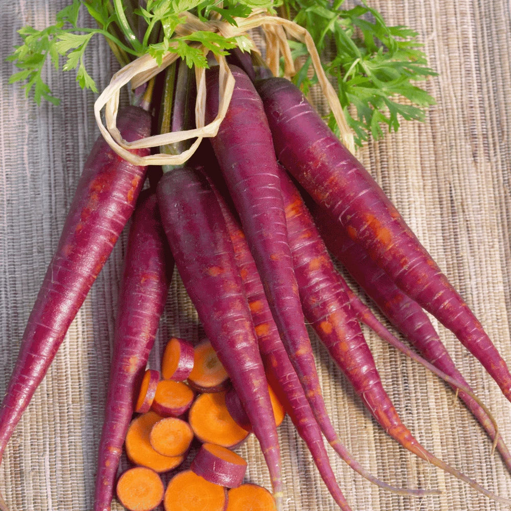 Cosmic Purple Carrot Seeds - Heirloom Daucus carota Vegetable Seeds - Vibrant Purple Color, Sweet Roots, Pack of 100