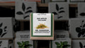 Seed Bombs for Erosion Control – MR. SANDMAN™ Bad Apples Native Drought-Resistant Seeds Pack