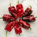 Poblano Sweet Pepper Seeds - 25+ Pack, Heirloom, Capsicum annuum, Garden Planting, Mildly Spicy Peppers