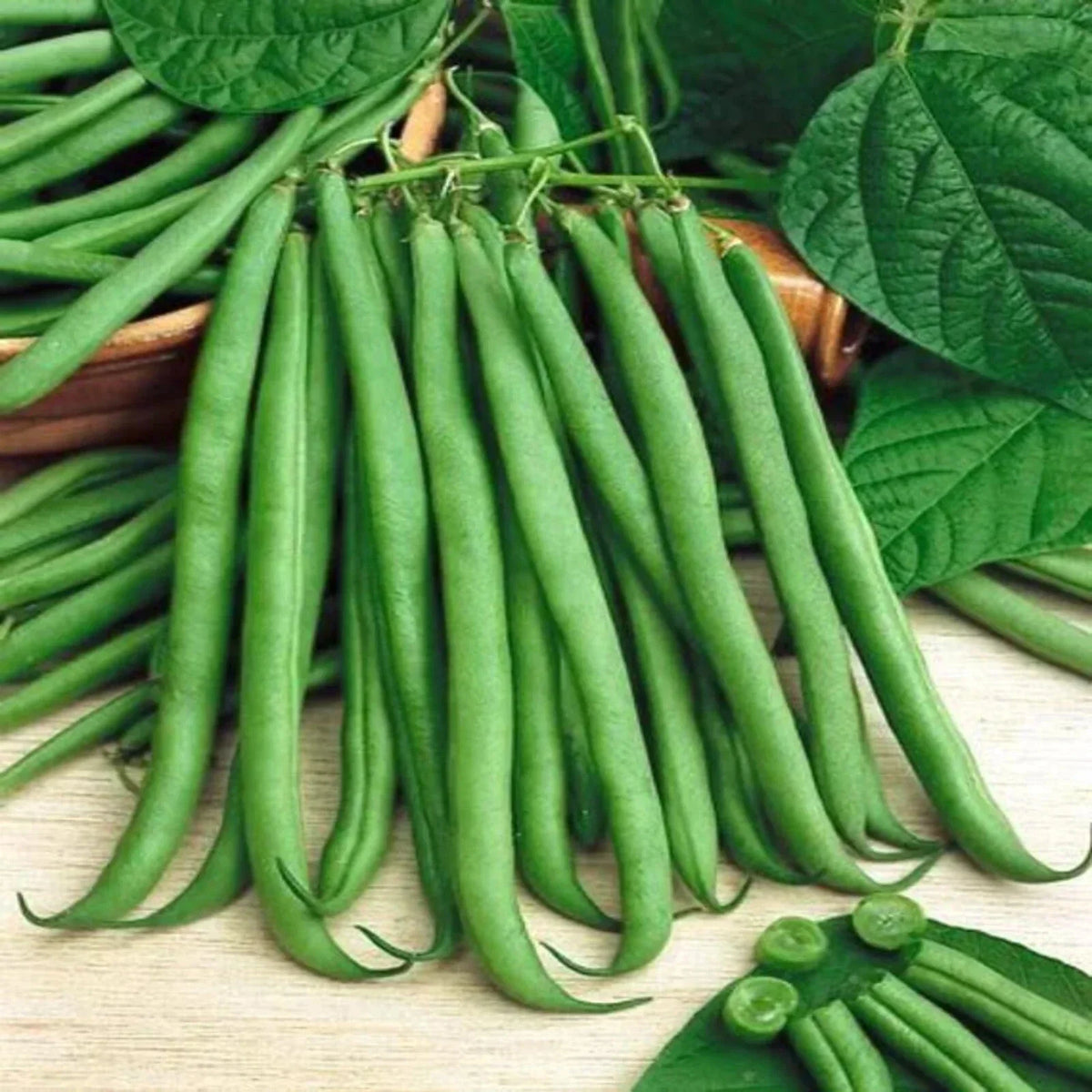 Top Crop Bush Green Bean Seeds - Heirloom, Non-GMO, Stringless, Organic, Phaseolus vulgaris, Compact Growth, Vegetable Seeds