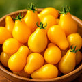 Yellow Pear Tomato Seeds – Heirloom Non-GMO, Sweet Low-Acid Variety, Solanum lycopersicum, Pack of 30+ Seeds for Home Gardens