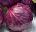 Red Acre Cabbage Seeds - Non-GMO Coleslaw Variety, Compact Growth, Brassica oleracea, Multiple Sizes