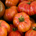 Hillbilly Heirloom Tomato Seeds 50 Ct - Indeterminate, Non-GMO, Solanum lycopersicum, Juicy Yellow-Orange Tomatoes for Home Garden