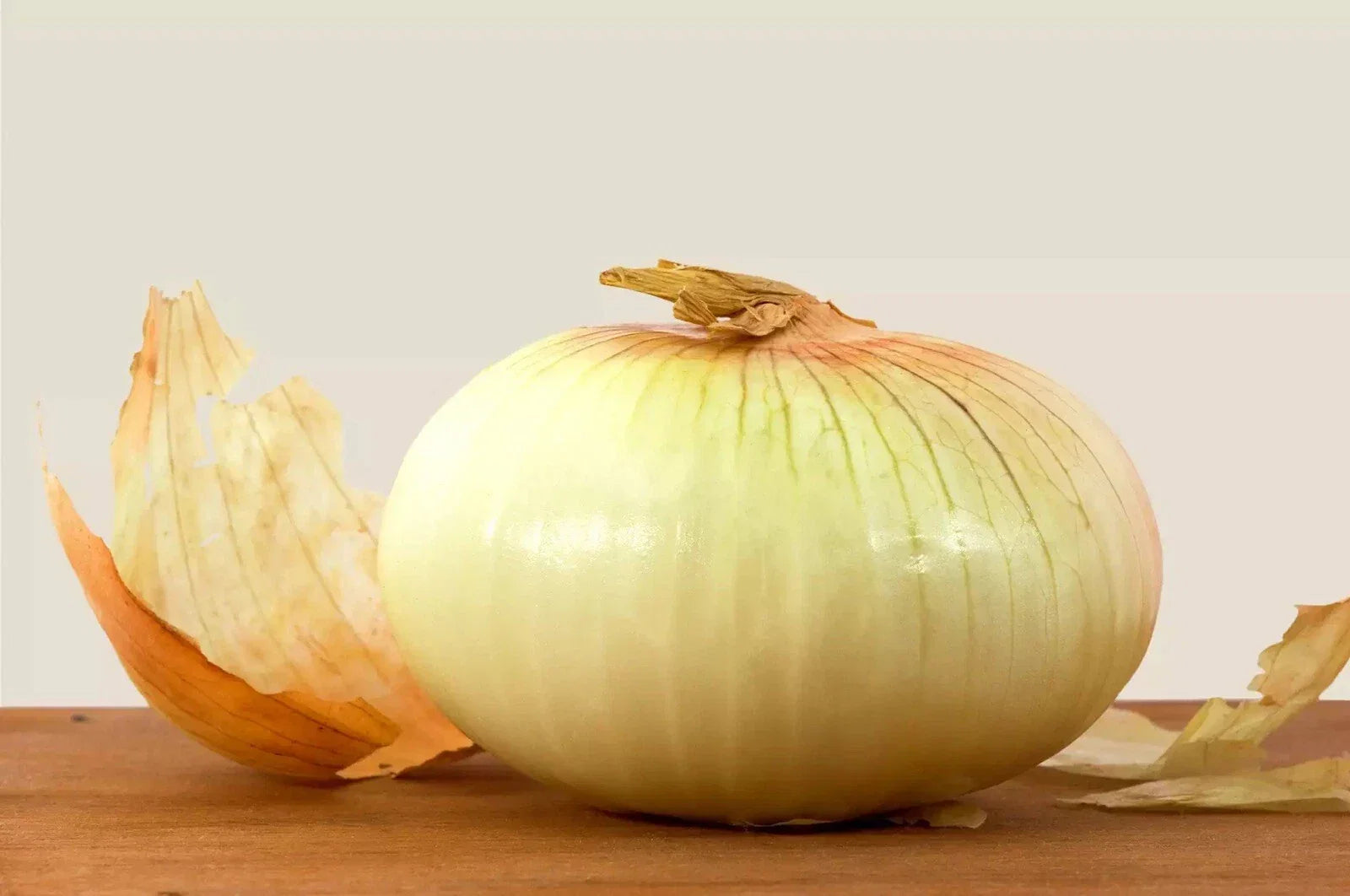 Treated Vidalia Sweet Onion Seeds - 250 Non-GMO Heirloom Allium cepa for Home Gardening