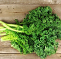 Dwarf Siberian Kale Microgreens Seeds – 500 Non-GMO Heirloom Brassica oleracea var. sabellica for Healthy Cool Weather Growing