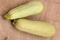 Cousa Squash Seeds - 25+ Pack, Heirloom Cucurbita pepo, Non-GMO, USA Grown, Compact Bush Plant, Full Sun, Easy to Grow