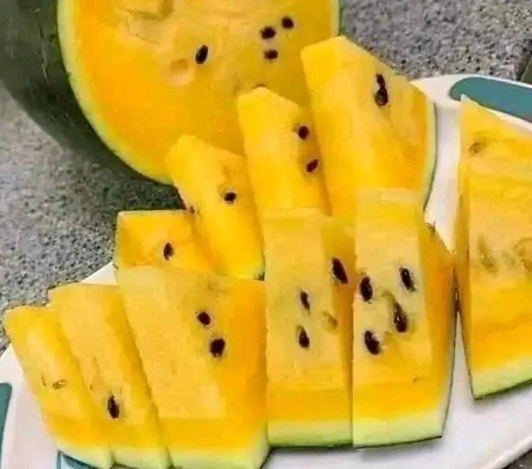 Yellow Watermelon Seeds - Non-GMO, True to Color, Rare Citrullus lanatus, Pack of 10+ Seeds