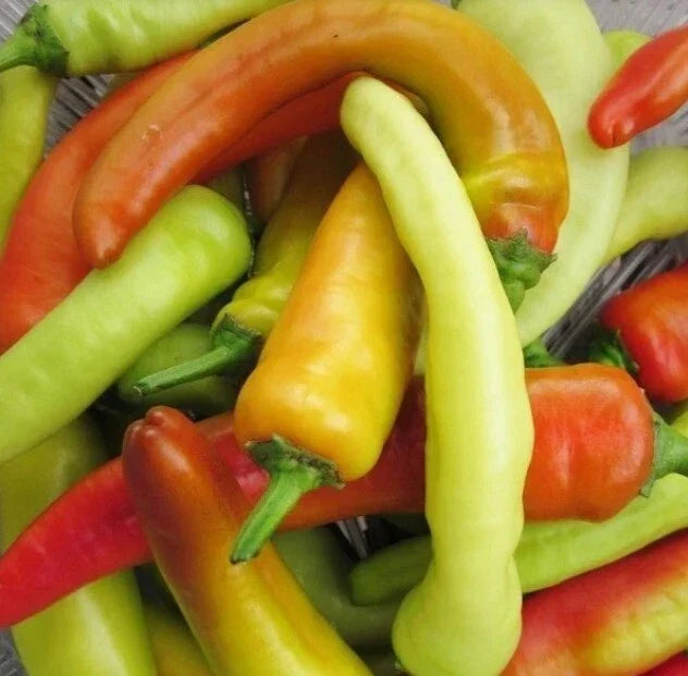 Hungarian Wax Hot Pepper Seeds - 400 Non-GMO Heirloom Capsicum annuum for Spicy Peppers, Garden or Container Cultivation