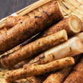 Burdock Seeds - Articum Lappa Kinpira Gobo Ngao Pong Heirloom Vegetable Seeds for 2025 Planting