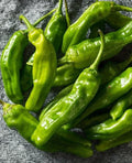 Organic Shishito Pepper Seeds - 25 Premium Japanese Capsicum annuum for Home Garden, Container or Bed Cultivation