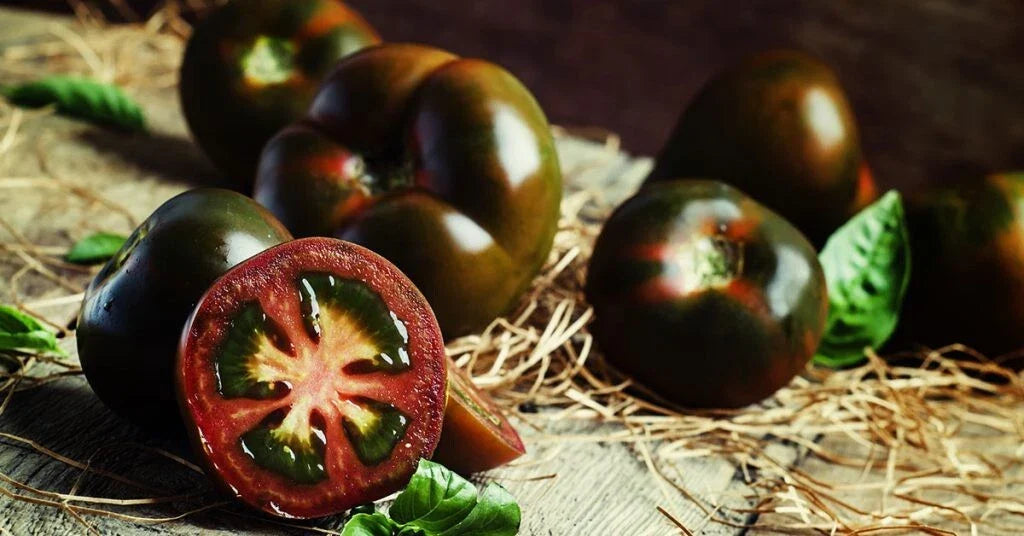 Black Truffle Tomato Seeds - Heirloom Organic Non-GMO Solanum lycopersicum, Dark-Skinned, Indeterminate, Garden Vegetable Seeds