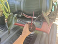 Rare Philodendron Black Majesty Plant - Fully Rooted Indoor Houseplant - Deep Burgundy Foliage - Philodendron 'Black Majesty'