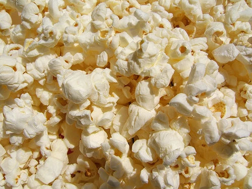 Popcorn Seeds - Pennsylvania Dutch Butter Variety - Non-GMO Zea mays everta for Home Garden Planting