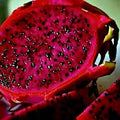 Red Dragon Fruit Vine Seeds Pack of 25 | Hylocereus costaricensis Cactus Pitaya with Large 12" Flowers