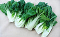 Canton Pak Choi Seeds - 200+ Non-GMO Brassica rapa subsp. chinensis Vegetable Seeds for Home Garden, Easy to Grow, Crisp Greens