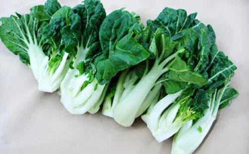 Canton Pak Choi Seeds - 200+ Non-GMO Brassica rapa subsp. chinensis Vegetable Seeds for Home Garden, Easy to Grow, Crisp Greens
