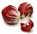 Radicchio Seeds - Palla Rosa Variety - Vitamin Packed, Compact Rosette, Cichorium intybus, 100 Seeds for Home Gardening