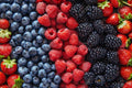 Berry Seed Set - Strawberry, Blueberry, Blackberry, Raspberry Seeds for Home Gardening, Fruit Plants, Gift Package